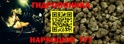 прущая мука Сланцы