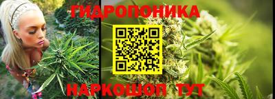 гашик Славянск-на-Кубани