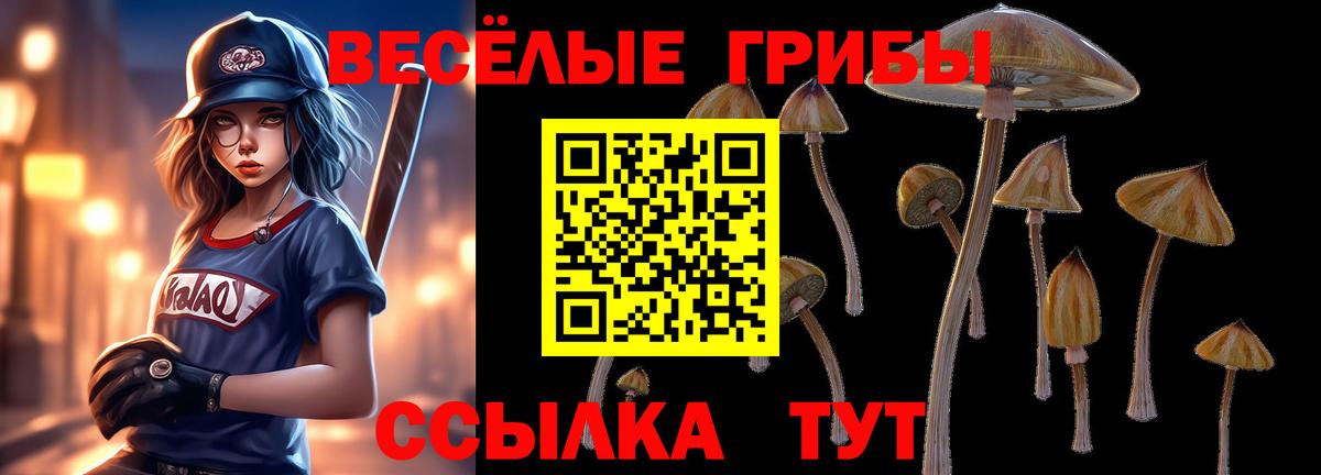 Псилоцибиновые грибы Cubensis  Вход с VPN  Псилоцибиновые грибы прущие грибы  Нерюнгри 